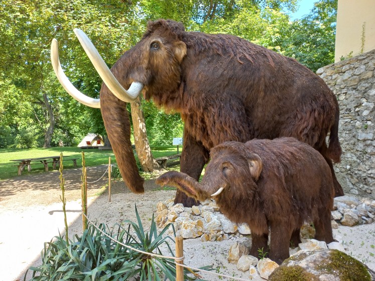 Mammutjäger, Kelten &&nbsp;Co.