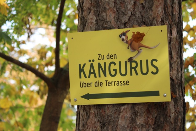 Update: No more Kängurus am&nbsp;Harzberg