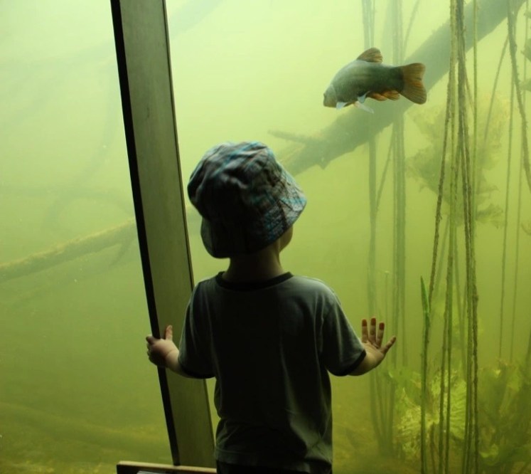 Porträt: SchlossORTH Nationalparkzentrum mit&nbsp;Schlossinsel