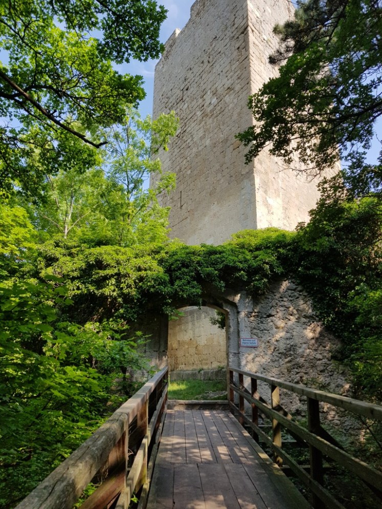 Porträt: Burgruine Rauheneck