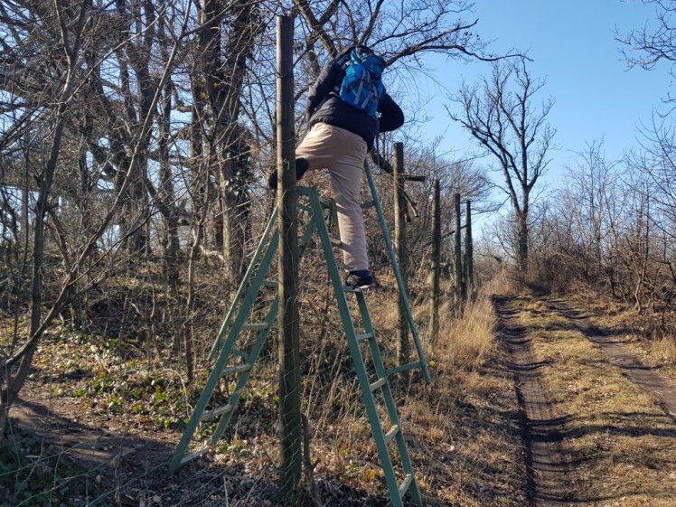 Immer weiter, auf die&nbsp;Leiter!