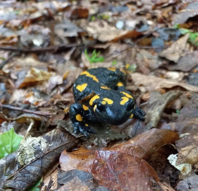 Auf Abwegen: Zu den zwei&nbsp;Warten