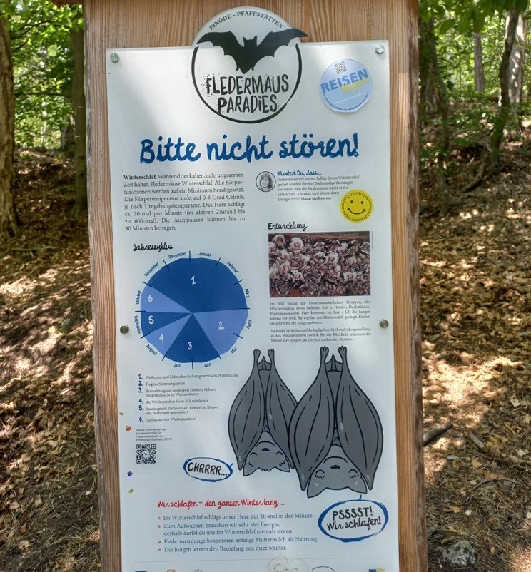 Fledermausführung im Lainzer&nbsp;Tiergarten