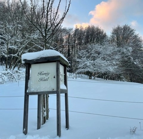 Tür 13: Abstecher zum&nbsp;Honigkistl