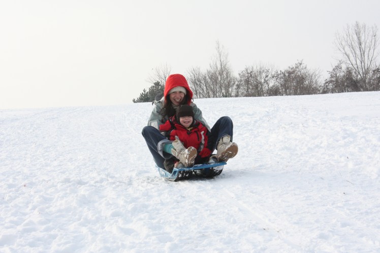 Tür 2: Rodeln in Wien und im&nbsp;Wienerwald